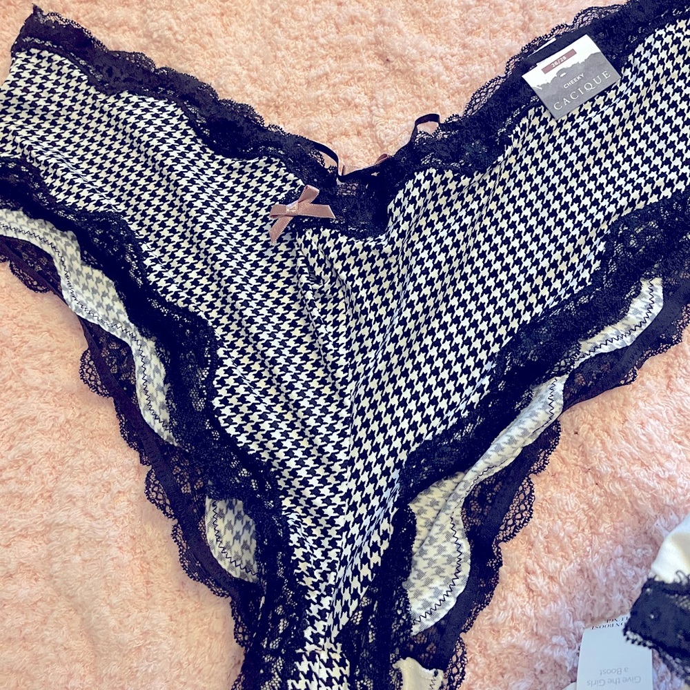Sexy NWT Lane Bryant panties with amazing lace details.  Size 26/28